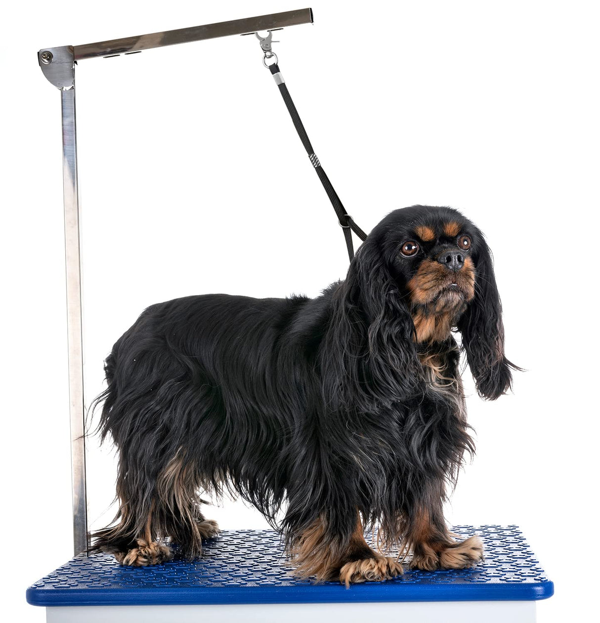 Pet Dog Grooming Loop, Nylon Restraint Noose Adjustable Fixed Dog Cat Safety Tether Straps Dog Grooming Supplies for Pet Grooming Table Bathtub - 6 Pack / 6 Color