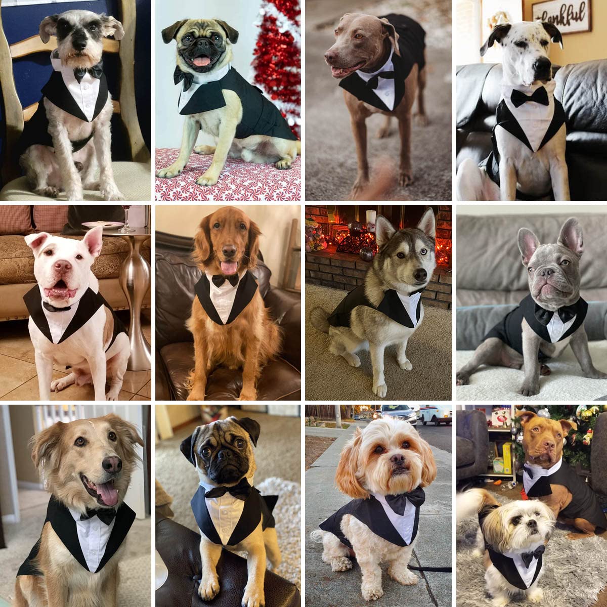 Tuxedo & Bandana Set, 2 Pack Pet Costume: Puppy Formal Party Suit - Dog Clothes for Small, Medium & Large Dogs - Prince Bow Tie Shirt - Wedding Attire for Golden Retriever & Samoyed (S)