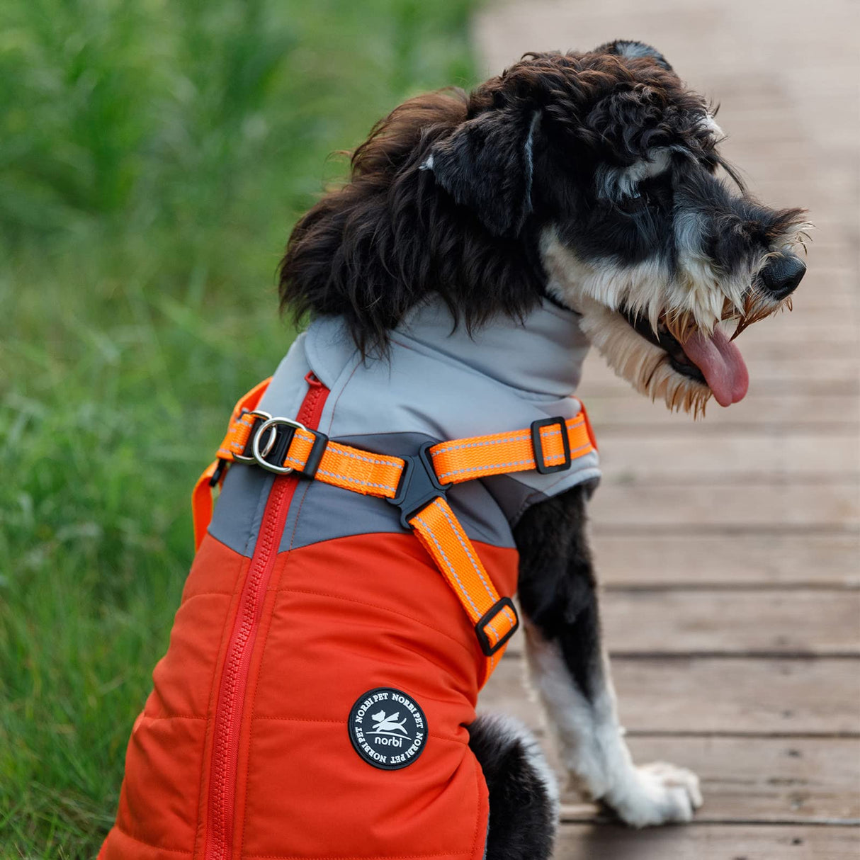 Norbi Small Dog Winter Coat with Harness, Easy On/Off Waterproof Warm Jacket, No-Pull Reflective Vest for Small Medium Breed Dogs, Windproof Cold Weather Apparel