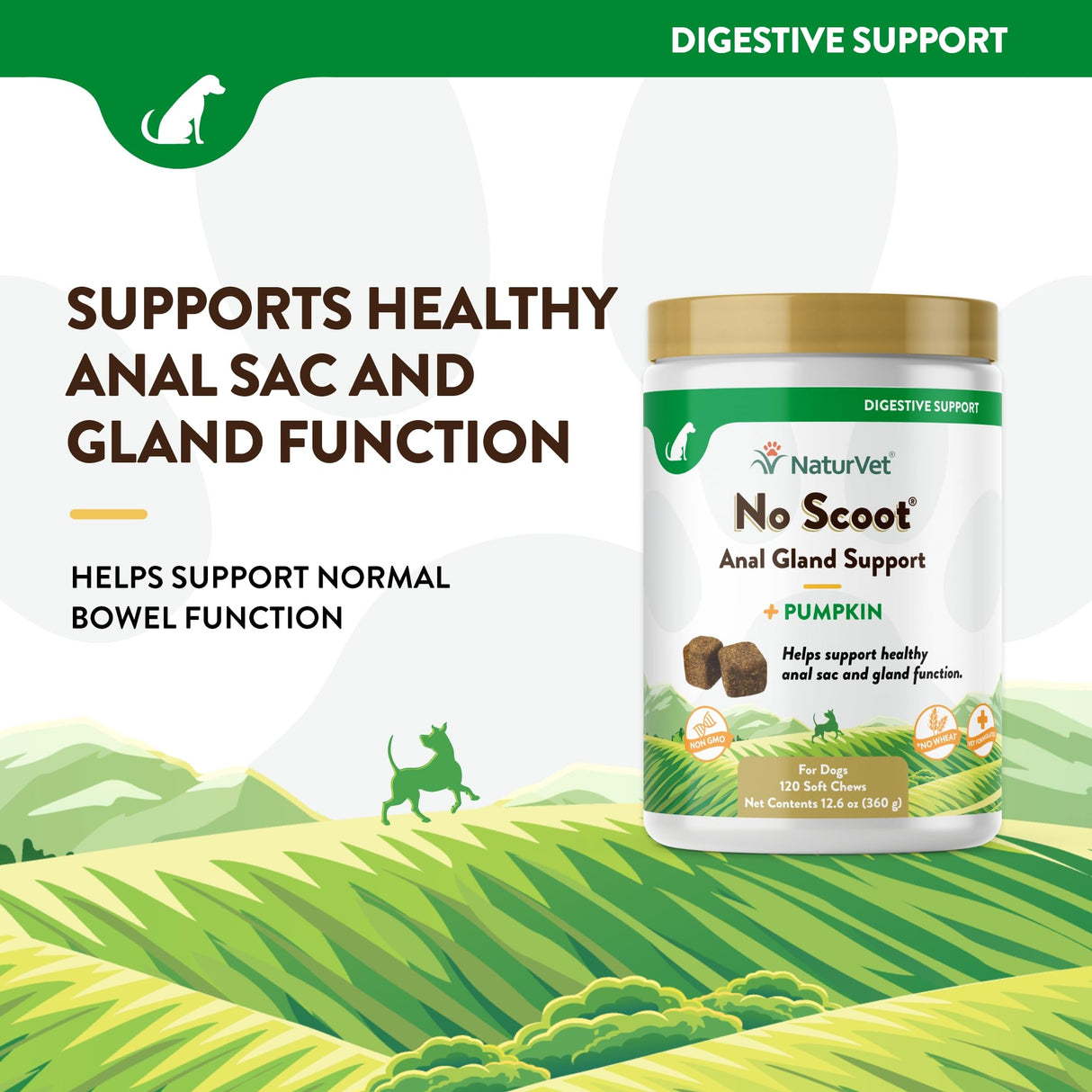 NaturVet - No Scoot for Dogs - 120 Soft Chews - Plus Pumpkin - Supports Healthy Anal Gland & Bowel Function - Enhanced with Beet Pulp & Psyllium Husk