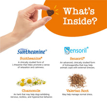 Load image into Gallery viewer, Zesty Paws Calming Chews for Dogs - for Everyday Stress, Relaxation, Composure, and Separation Peanut Butter 50 Count