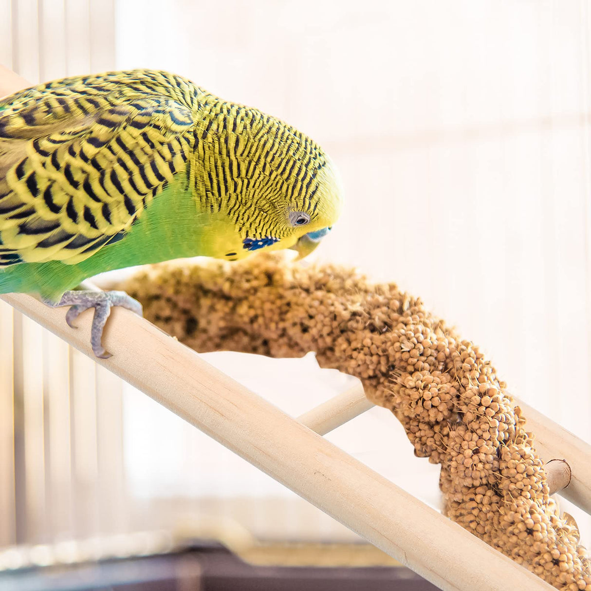 Kigeli 6 Pcs Wood Step Ladder for Bird, Hanging Bird Ladder Parrot Step Cage Hanging Climbing Toys for Parakeets, Parrots, Cockatoo and Lovebirds