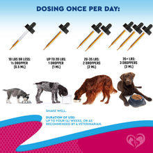 Load image into Gallery viewer, Cat & Dog Urinary Tract Infection Treatment & Natural UTI Medicine Cranberry & D-Mannose -Kidney+Bladder Support - Best Incontinence, Bladder Stones - Pet Renal Health & Care Drops