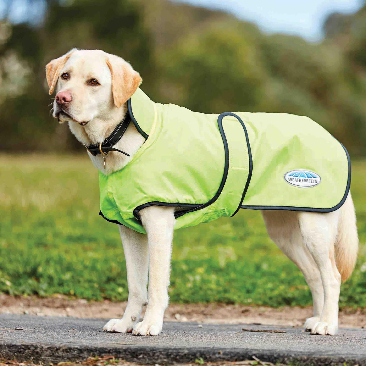 WeatherBeeta ComFiTec Windbreaker 420D Deluxe Dog Coat, Yellow/Black, 22"