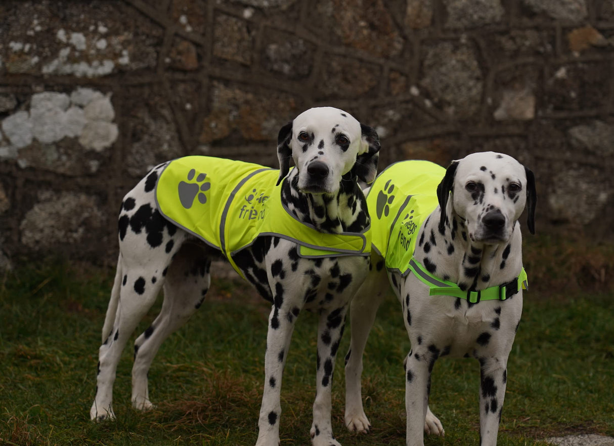 4LegsFriend Safety Reflective Vest for Dogs - High Visibility for Outdoor Activity Day and Night, Protect Your Pet from Cars & Hunting Accidents