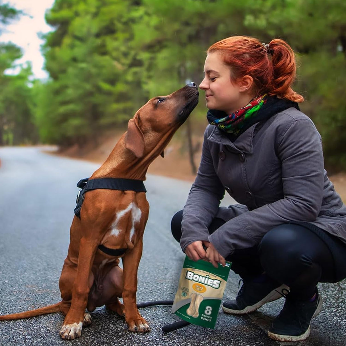 Bonies Natural Skin & Coat Formula Minis-Sized Bone, Promote Silky Coat & Healthy Skin, Healthy Teeth & Fresh Breath, Low Calories - Chicken Flavor, MINI Dogs, 240 Bones
