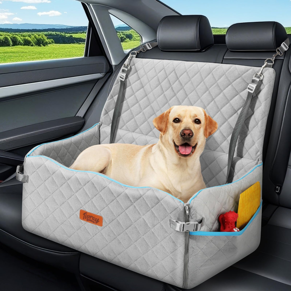 Large Dog Car Seat, Dogs Car Bed for Large Dogs Under 60 lbs or 2 Small Breeds, Comfortable Dog Booster Carseat with Memory Foam Thick Cushion, Detachable & Washable Pet Bed for Backseat, Grey