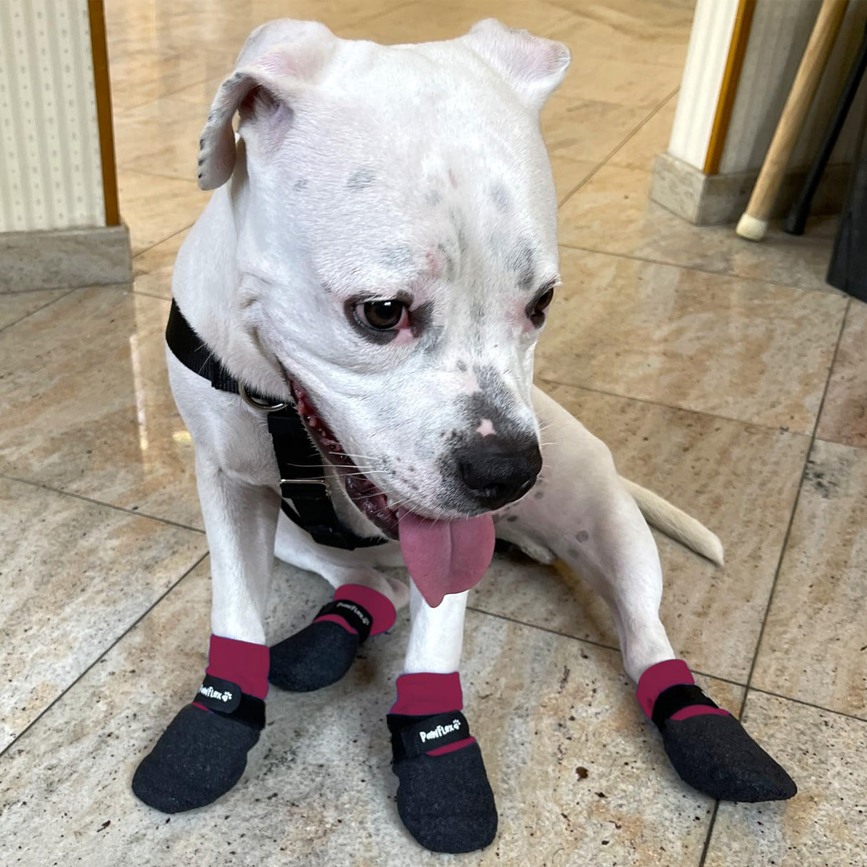 Double Dipped Thick Textured Waterproof Cotton Dog Socks | PawFlex Comfy Pawz Soft Indoor/Outdoor Pet Booties | Non-Slip Silicone Grip at Inner Wrist for No Twisting or Sliding Off| Adjustable Strap