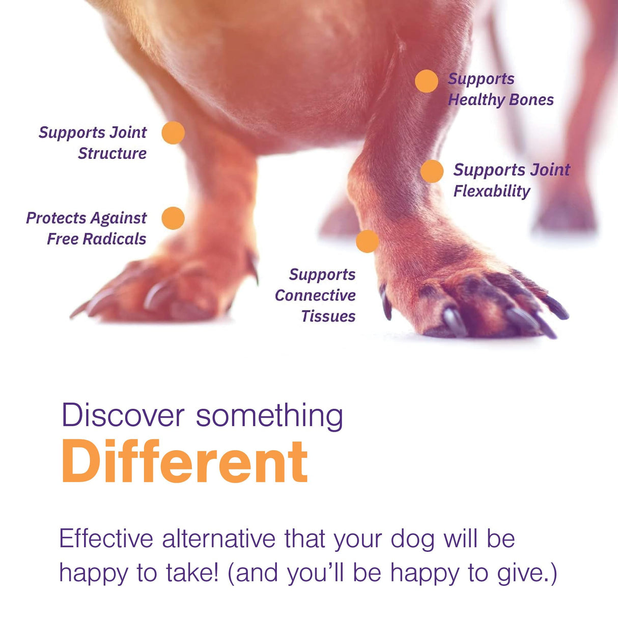 MOVOFLEX Soft Chews Hip and Joint Support Supplement for Small Dogs 60 Count by Virbac