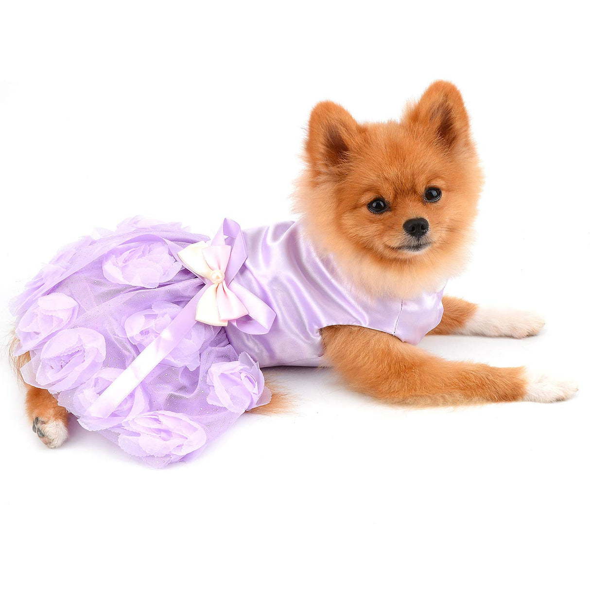 PAIDEFUL Pet Dress for Small Dog Girls Luxury Puppy Wedding Dress Rose Flower Lace Tutu Skirt Silky Bow Birthday Party Dog Clothes,Purple,Size XL