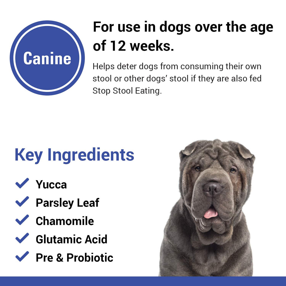 Vet Classics Stop Stool Eating Pet Health Supplement for Dogs – Dog Breath Freshener – Stops Dogs from Eating Stool – Enzymes, Probiotics – 180 Soft Chews