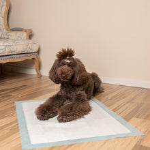 Load image into Gallery viewer, Best Pet Supplies XL Puppy Pads 100 Count - Super Absorbent Dog Training Pads, Quick-Dry, Odor Control, Disposable Pee Pads, Leak-Proof Wee Wee Pads for Indoor Dogs – Baby Blue XL, 100 Pack