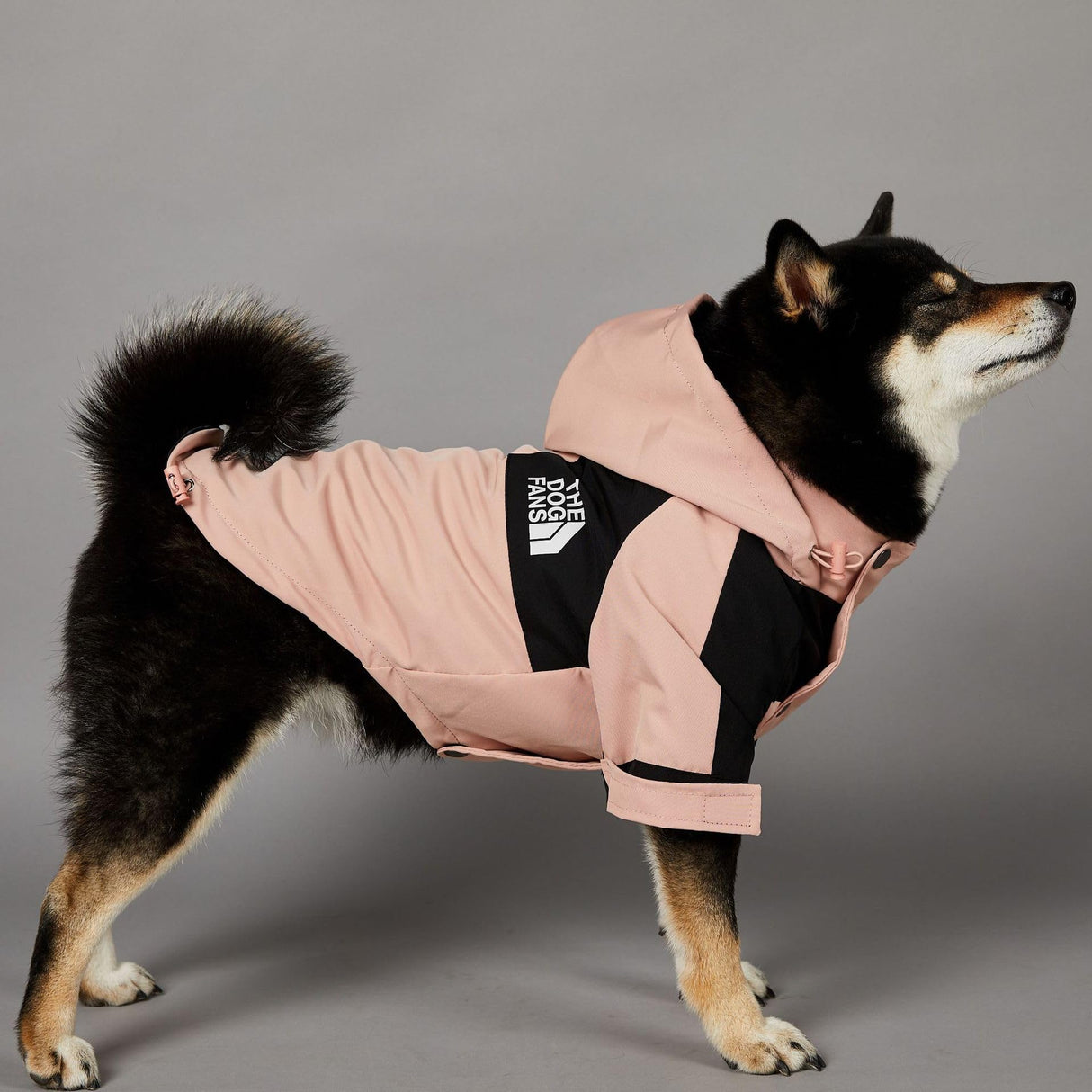 BETTYLAI Dog Raincoat with Adjustable Hood and Tail Drawstring, Button and Zipper Clothes, Durable Outdoor Waterproof Dog Rain Jacket for Small, Medium and Large Dogs (Pink, X-Large)