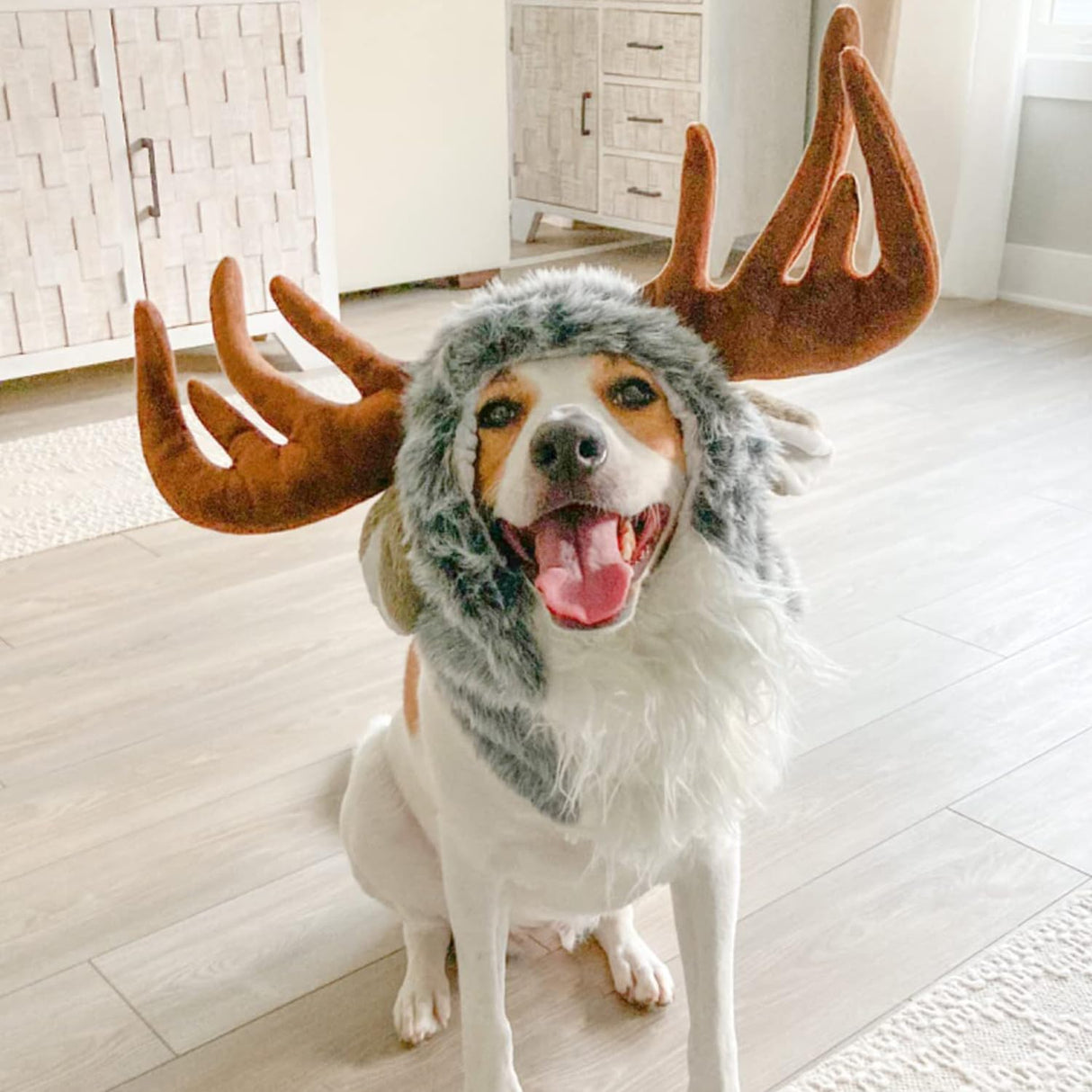 Onmygogo Funny Dog Halloween Costumes, Cute Furry Pet Wig for Halloween Christmas, Pet Clothing Accessories (Moose, Size M)