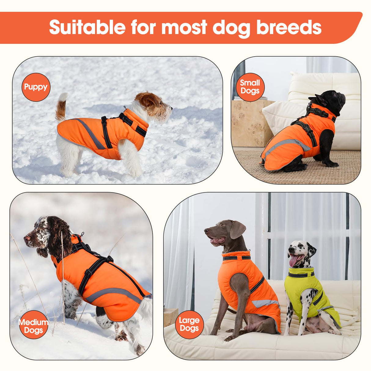 BRKURLEG Dog Winter Jackets for Large Dogs, Dog Coat with Harness Built in, Dogs Snowsuits with Zipper, Waterproof Windproof Pet Puffer Jacket Fleece Vest for Labrador, Dalmatian, Orange XXL