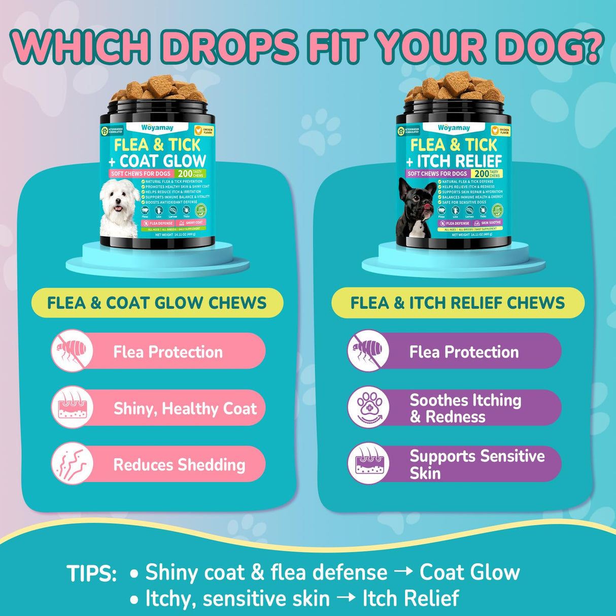 Woyamay Flea + Coat Glow Soft Chews, Natural Flea and Tick Prevention for Dogs, Dog Flea and Tick Treatment Chewable, Reduces Itch & Shedding with Fish Oil & Neem, Chicken Flavor