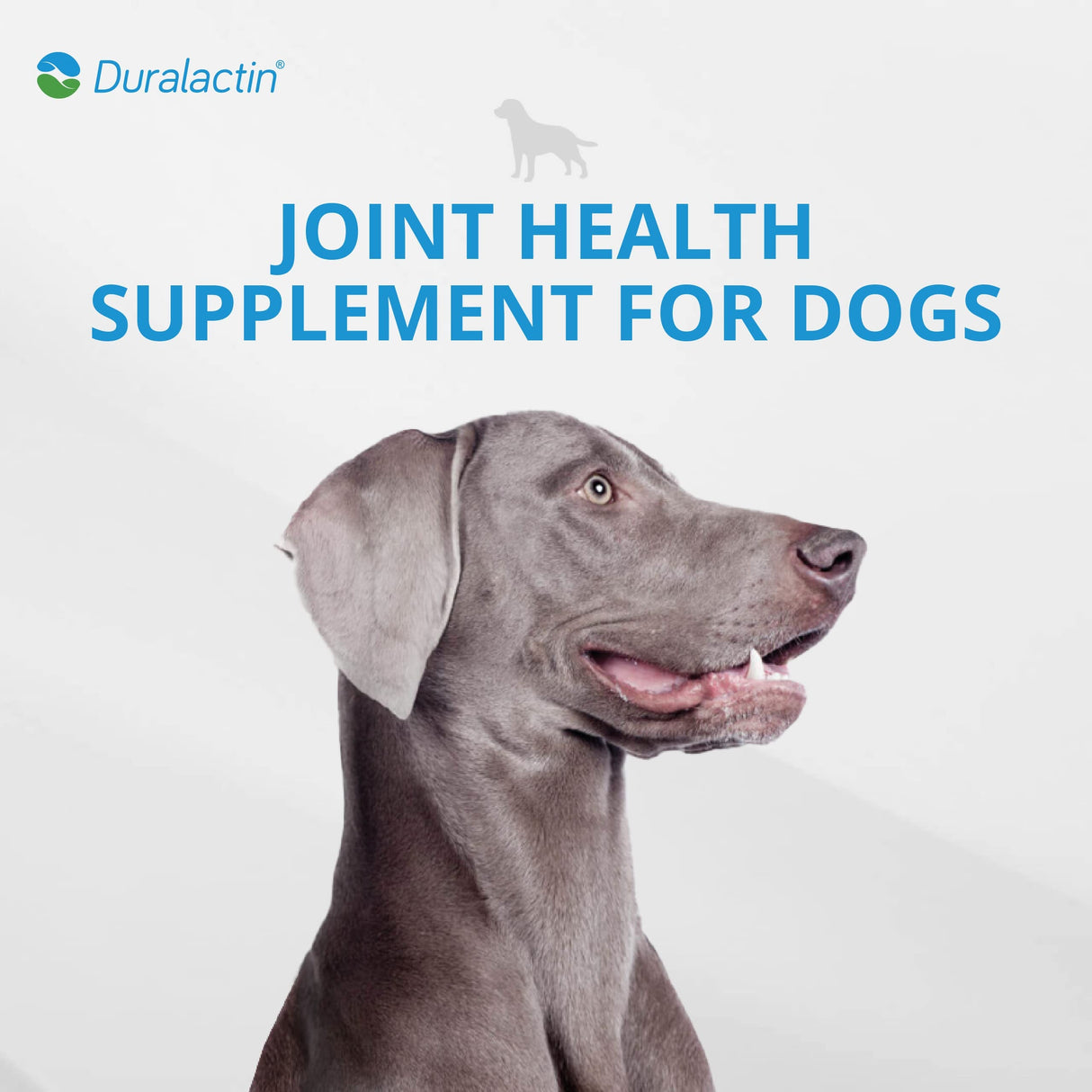 PRN Pharmacal Duralactin Canine Soft Chews - Joint Health Supplement for Dogs & Puppies to Help Reduce Chronic Soreness - Canine Chews Containing Dried Milk Protein - Chicken-Liver Flavor - 90 Chews