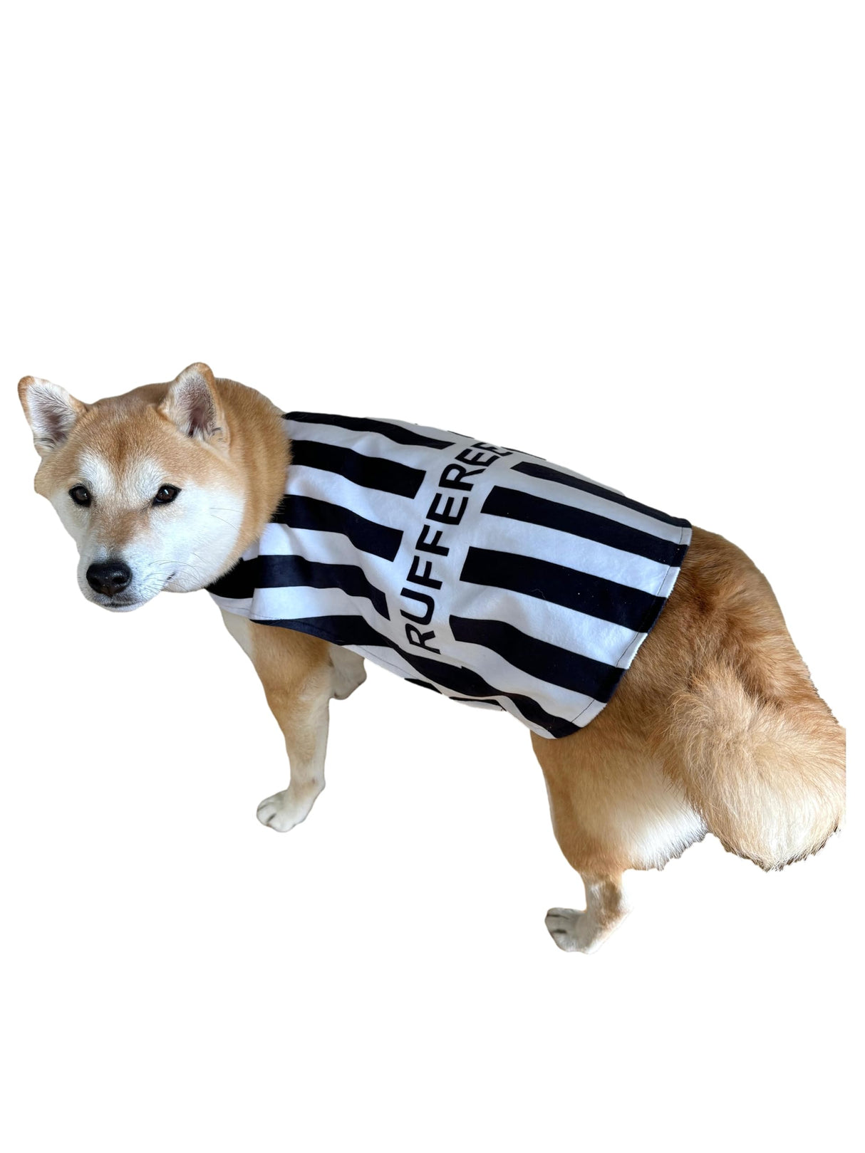 ComfyCamper Black and White Sports Referee Dog Cape Costume - XXL Cosplay Rufferee Halloween Costumes Christmas, XL