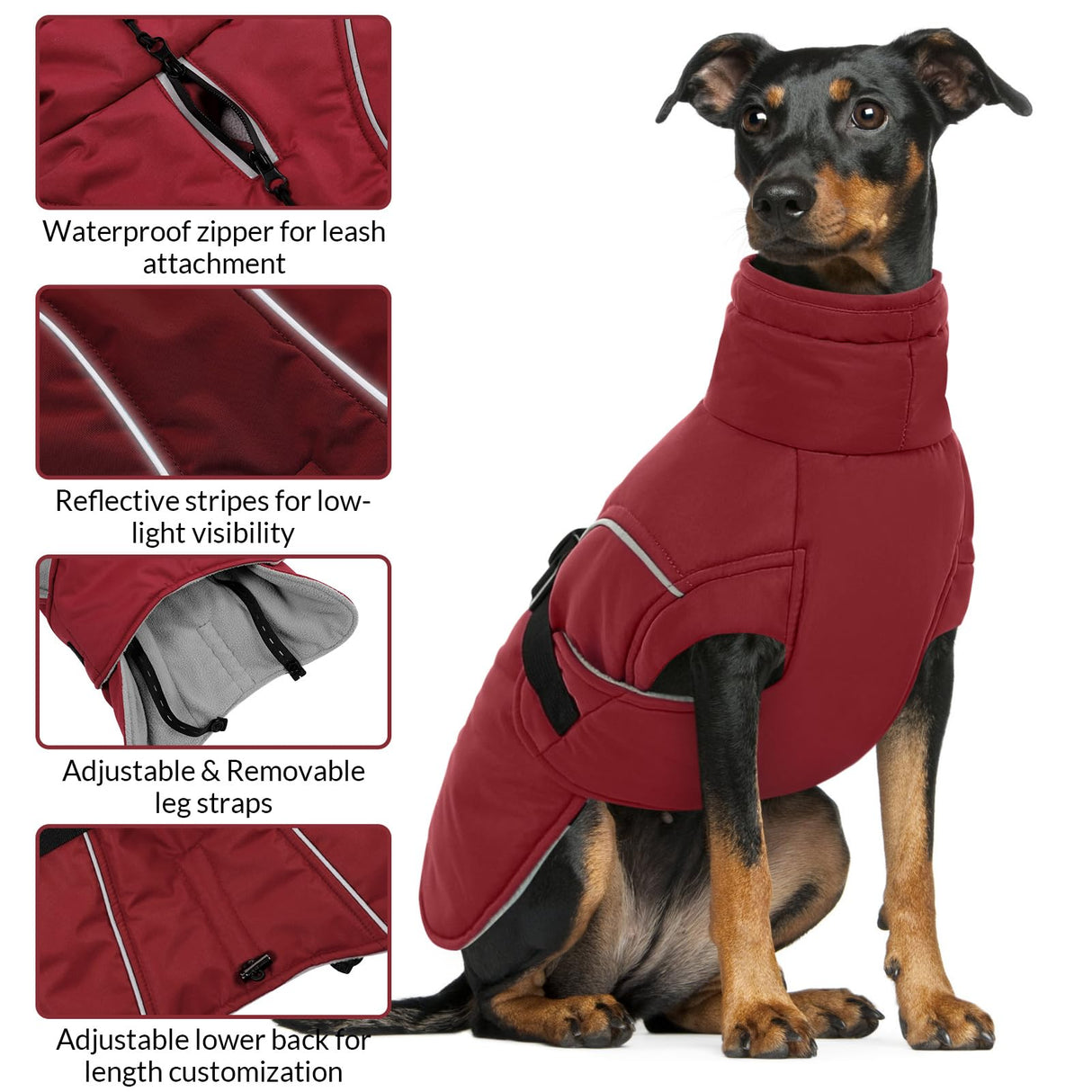 Queenmore XL Dog Coat, Winter Dog Jacket for Large Dogs, Waterproof Puffy Dog Snowsuit, Adjustable Reflective Fleece Lining Warm Padding Parka for Cold Weather, Red XL