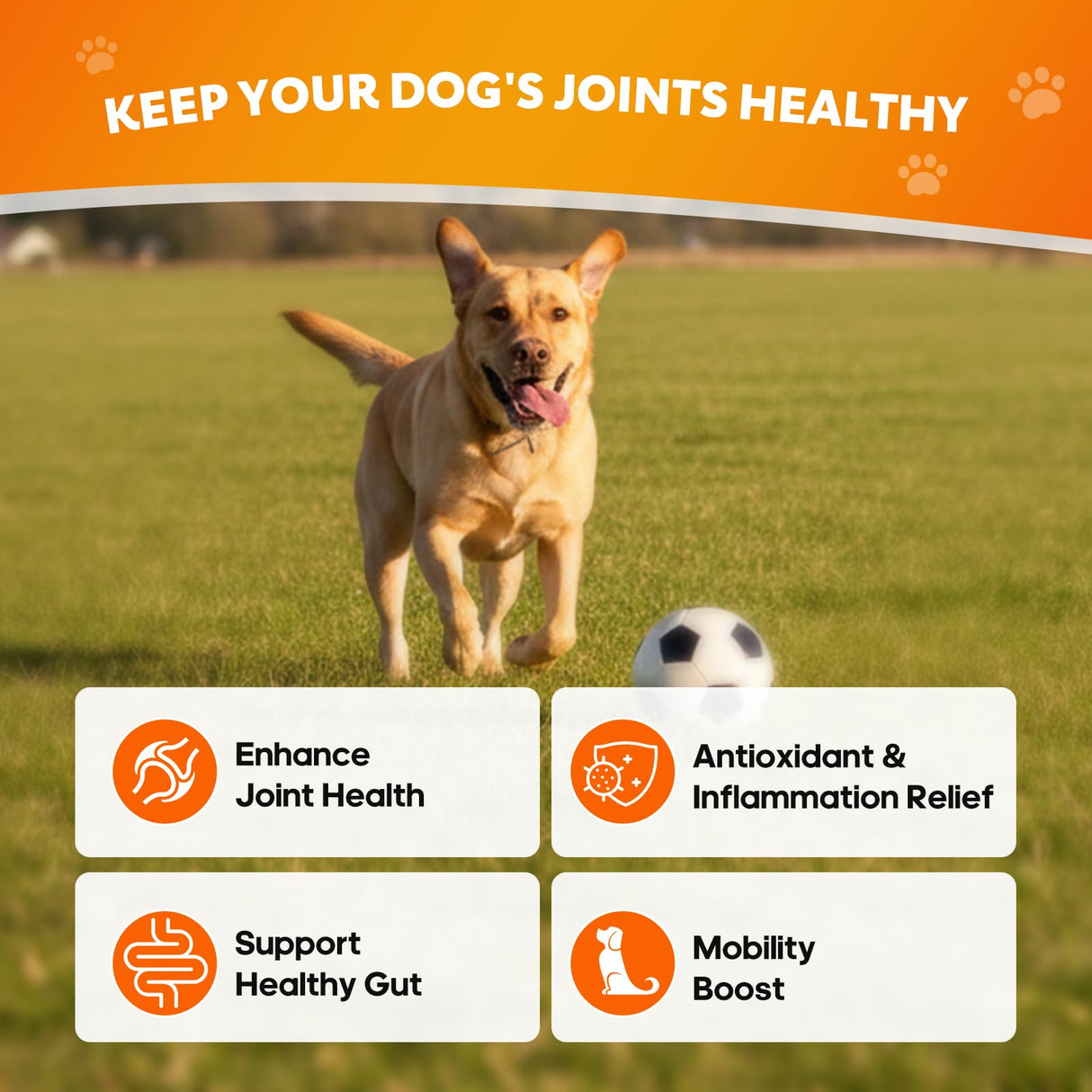 Whiskopia Hip and Joint Supplement for Dogs, Joint Pain Relief Supplement with MSM, Glucosamine, Chondroitin, Support Mobility, Health Chews for Dog, 120 Chews
