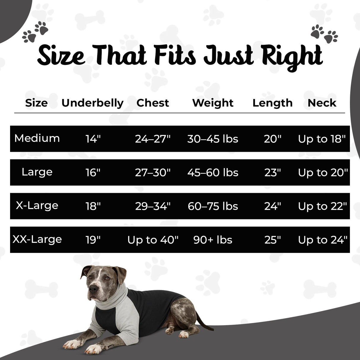 Tooth & Honey Dog Shirt for Medium Dogs β Breathable Cotton & Spandex Pullover with Full Underbelly Coverage β Grey Allergy & Summer Protection (Medium)