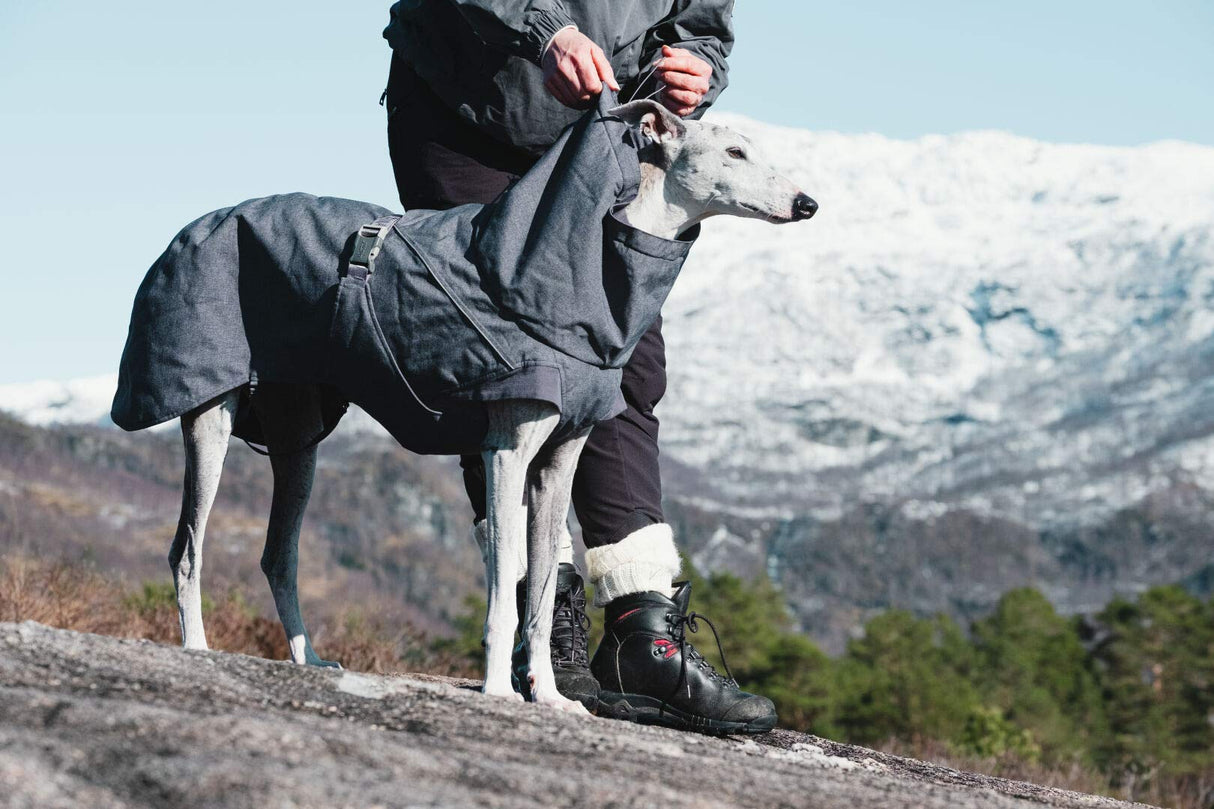 Hurtta Expedition Parka, Winter Dog Coat, BlackBerry, 18 in