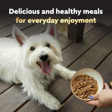 Load image into Gallery viewer, Cesar Filets in Gravy Adult Wet Dog Food Variety Pack, Filet Mignon, New York Strip and Prime Rib Flavors, 3.5 oz. Easy Peel Trays, Variety Pack, 24 Count