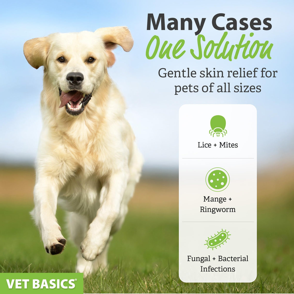 Vet Basics Lime Sulfur Dip β Skin Itch Relief Concentrated Antimicrobial & Antiparasitic Solution for Dogs, Cats, Puppies, Kittens & Horses, Helps Manage Ringworm, Mange, Skin Irritation, 16oz