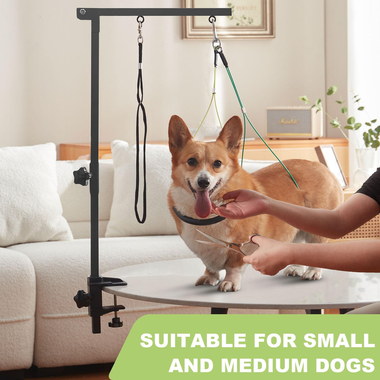 ZPVP Dog Grooming Arm with Hammock 35" Adjustable Dog Grooming Or Stand with Anti-Slip Metal Clamp No-Sit Haunch Holders for Small/Medium Pets Cat(Grooming Table Not Included)