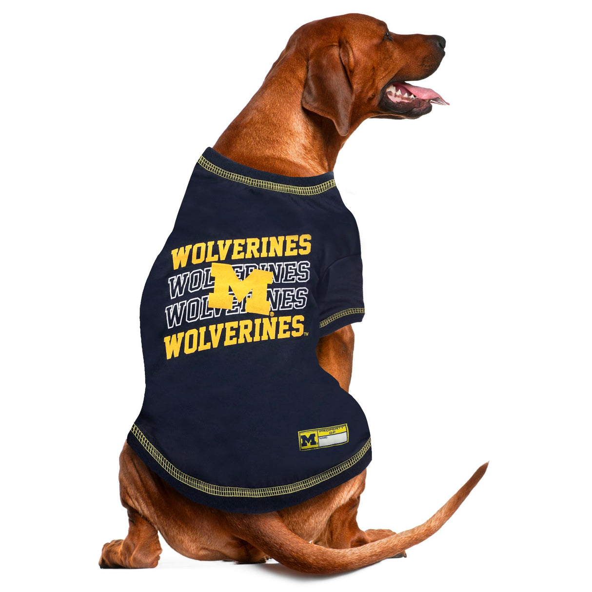 Pets First NCAA Michigan Wolverines Graphic Dog Tshirt, Licensed Sporty Dog Shirt with Team Name and Logo, Cool Puppy Shirt, Size Medium