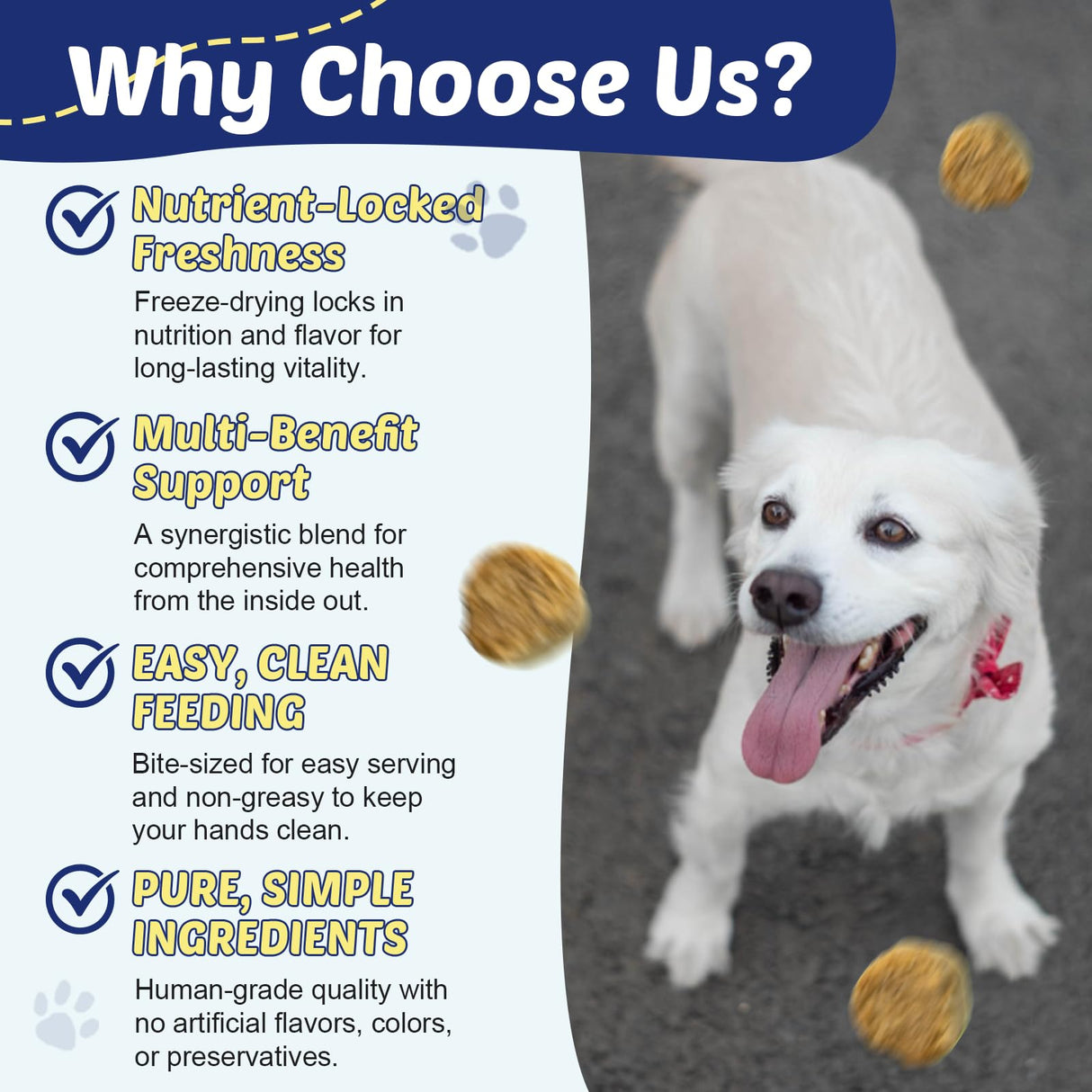 ZEBORA Salmon Oil for Dogs, Omega 3 Fish Oil for Dogs Skin and Coat with EPA & DHA, Zinc, Biotin, Quercetin, Vitamin C & E for Dog Allergy Relief, Hot Spot Treatment, Control Dog Shedding, 180 Chews