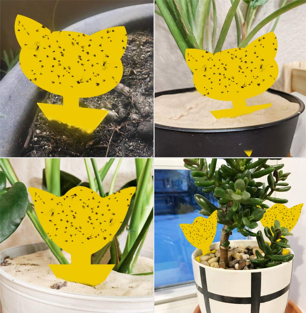 48 Pack Yellow Sticky Traps Gnat Trap, Sticky Trap Gnat Killer Indoor, Fruit Fly Traps Fungus Gnat Trap Insects Flies House Plant Trap Bug Sticky Traps for House Indoor