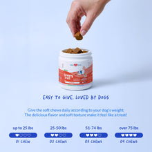 Load image into Gallery viewer, Cranberry for Dogs - 90 Soft Chews - Urinary Tract Support, Bladder Health, Dog UTI, Bladder Stones, Incontinence Support (Soft Chews)