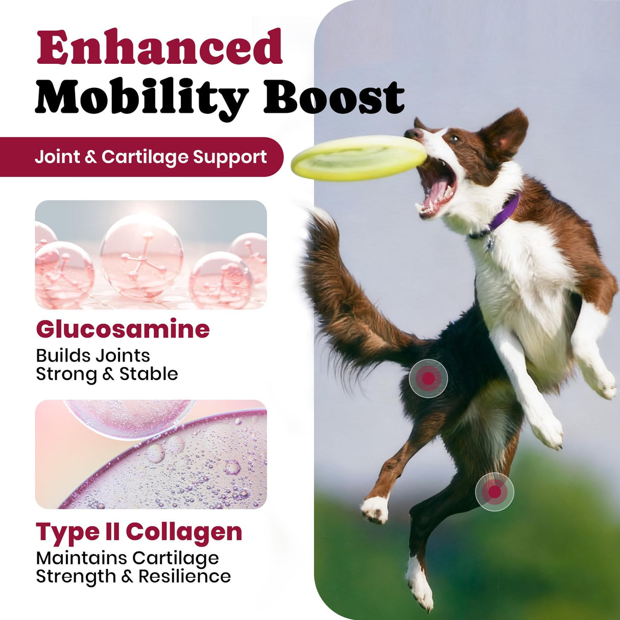 Glucosamine for Dogs - Hip and Joint Supplement Chews for Senior & Large Breed, Joint Supplement for Dogs with Chondroitin, Wuffe Joint Chews for Pain Relief - 60-Day Satisfaction Guarantee - 180 Ct