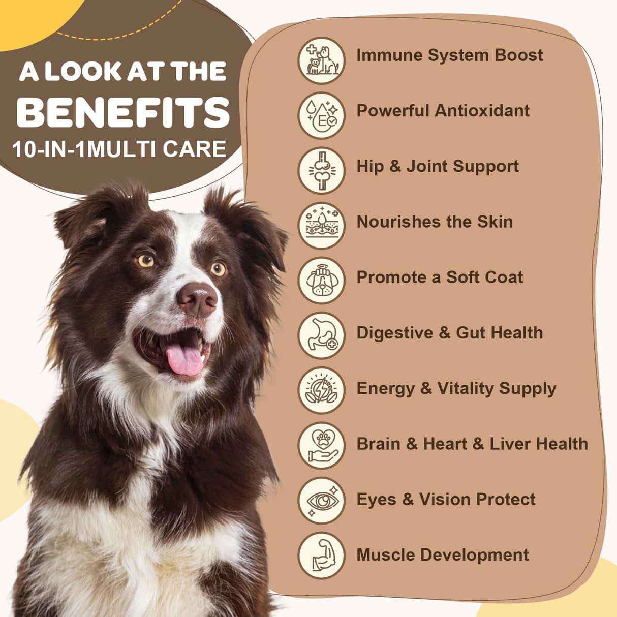 ZEBORA Dog Multivitamin with Probiotics - Dog Vitamins and Supplements - Multivitamin for Dogs with Glucosamine, Omega 3 and Probiotics for Dogs Digestion, Immunity, Joint, Skin and Coat - 180ct