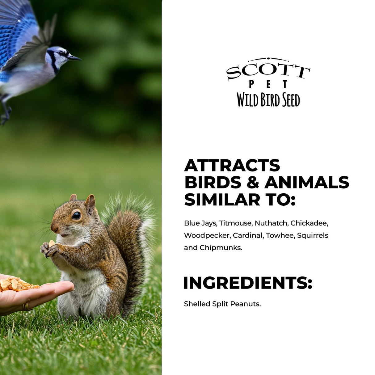 Scott Pet Wild Bird Seed, Peanuts Split (No Shell), 8 lbs Bag, Great Source of Protein and Fiber, Peanuts for Outside Wild Birds
