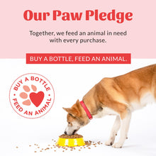 Load image into Gallery viewer, SKOUT'S HONOR Pet Stain and Odor Remover - Powerful Cleaner for Dog Urine, sweat, and other messes, Destroys and Removes Odor and Stain Molecules, Eco-Friendly Formula for Carpets and Home, 35oz