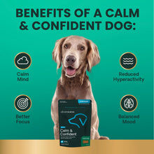Load image into Gallery viewer, VetriScience Calm & Confident Chews, Composure Clinically Tested Calming and Anxiety Supplement for Dogs, Reduce Stress and Fear, Ideal for Thunderstorms, Fireworks and Travel, Chicken, 60 Count