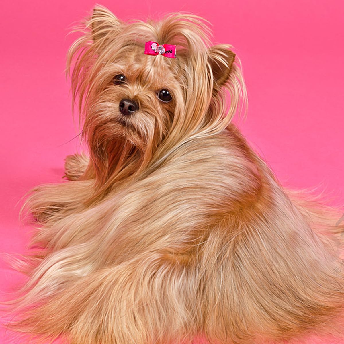 PET SHOW 100pcs Bulk 0.98inch*0.39inch Tiny Small Dogs Hair Bows with Rubber Bands Cat Puppies Yorkie Hair Topknot Grooming Accessories Mixed Matching Colors
