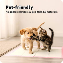 Load image into Gallery viewer, MoMoCo Puppy Pads, 23"x23"-100 Count Pet Pee Pads, Super Absorbent Disposable Dog Training Pads , Leak-Proof, Quick-Drying Potty Pads for Dogs Puppies