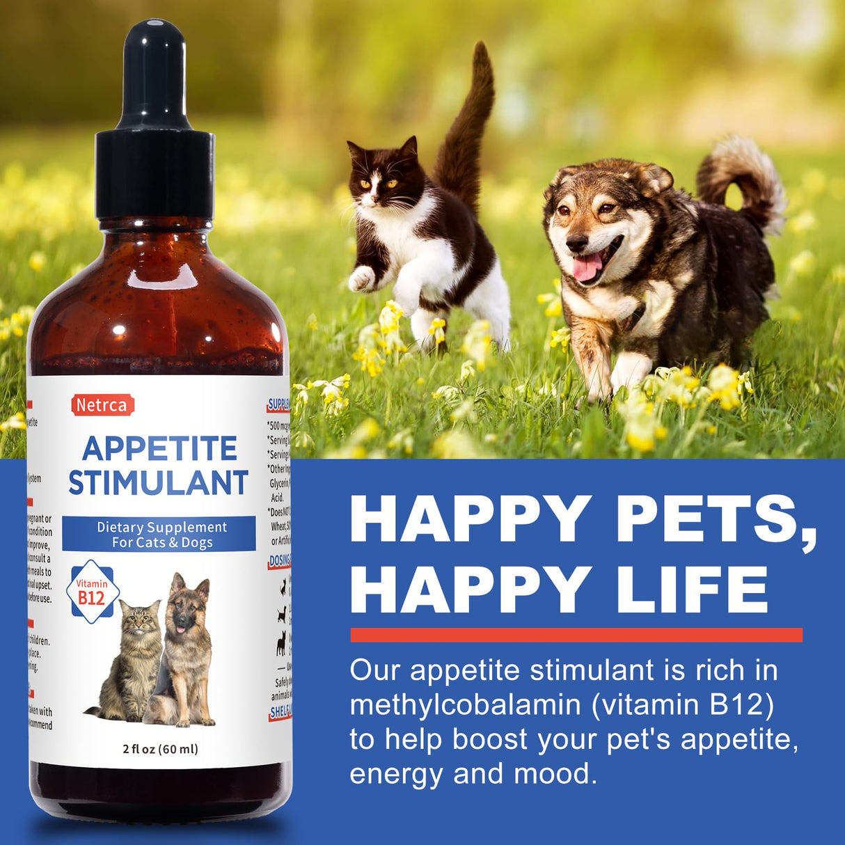 Appetite Stimulant for Dogs & Cats - Vitamin B12 (Methylcobalamin) Liquid Supplement - Boosts Appetite, Energy, and Mood - 60 ml