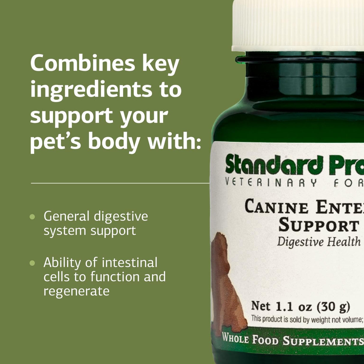 Standard Process Inc. Canine Enteric Support - Digestive System Support for Dogs - Nutritional Dog Supplement for Gut Health - Canine Supplement Formula to Aid Healthy Digestion - 30 g