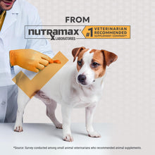 Load image into Gallery viewer, Nutramax Filaquin Anal Gland Supplement for Dogs, from The Same Company as Cosequin & Proviable, with Pre & Postbiotics and Psyllium Husk Fiber to Support Anal Gland Health, 90 Count Soft Chews