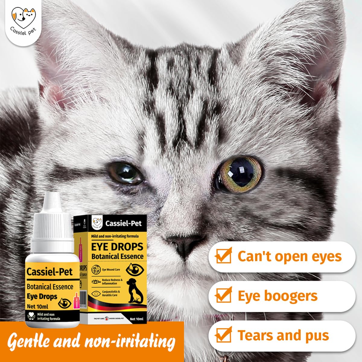 Cassiel pet Eye Drops for Eye Infection Treatment, Soothe Infection Allergy, Relieve Dry Eyes & Red Eye,Eye Cleaner and Tear Stain Remover for Dogs and Cats | 10 ml 0.33 FL OZ (1 Bottle)