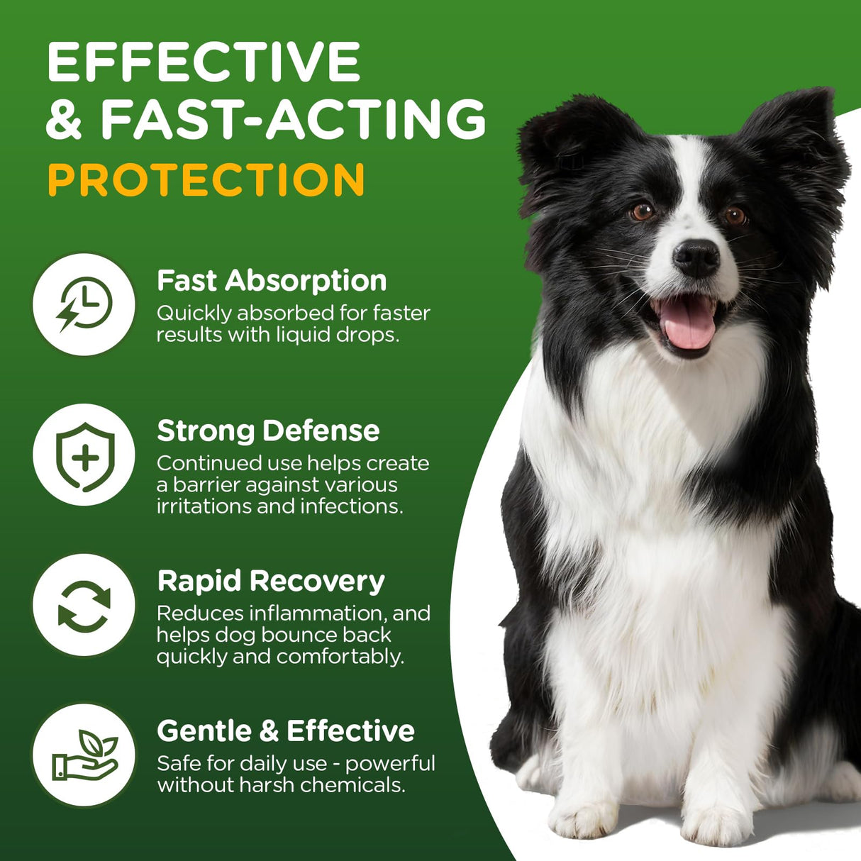Antibiotics for Dogs,Natural Antibiotics for Dogs,Pet Antibiotic,Supplement for Urinary Tract Support, Digestion & Skin Health,Dog Allergy and Itch,Natural Herbal Supplement