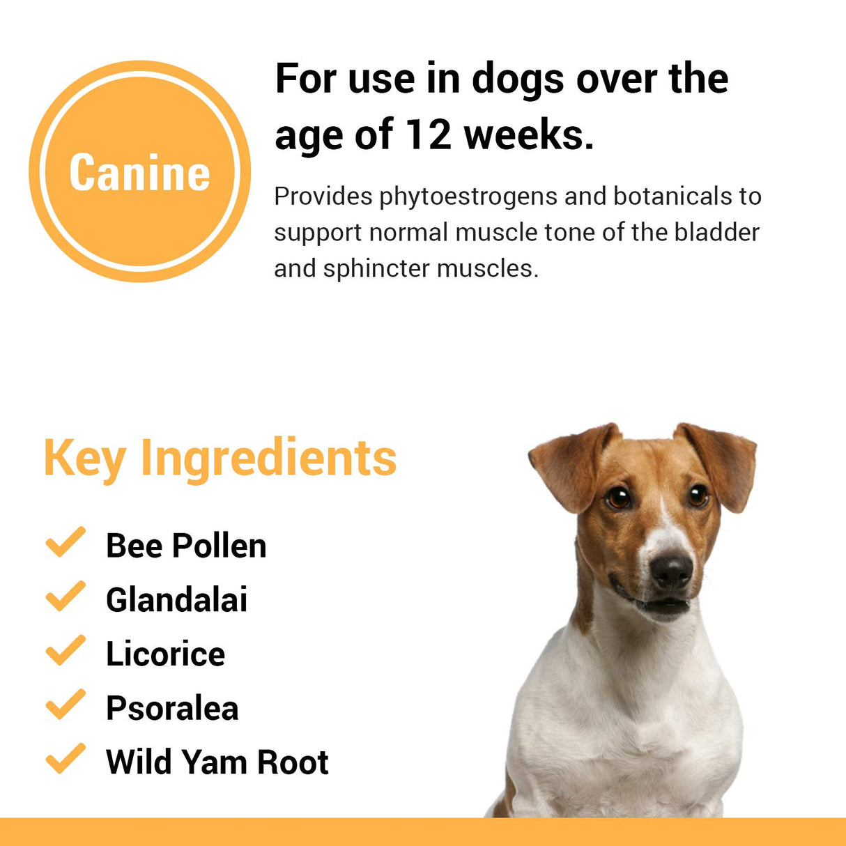 Vet Classics Bladder, Incontinence Support Dog Supplement – Supports Bladder Health for Dogs, Helps With Pet Incontinence – Includes Phytoestrogens, Botanicals – Chewable Tablets – 120 Ct.