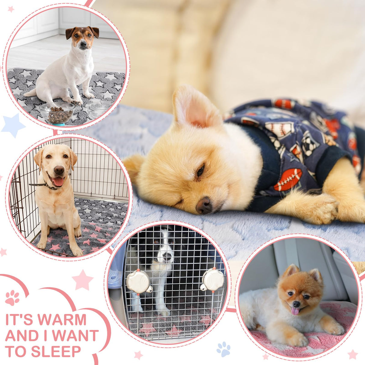 Reginary 4 Pcs Waterproof Guinea Pig Blankets Washable Small Animal Fleece Bedding Guinea Pig Cage Liners Reusable Training Pads Pet Pee Pad Sleep Mat for Hamster(Cute Star Pattern,24 x 16 Inch)