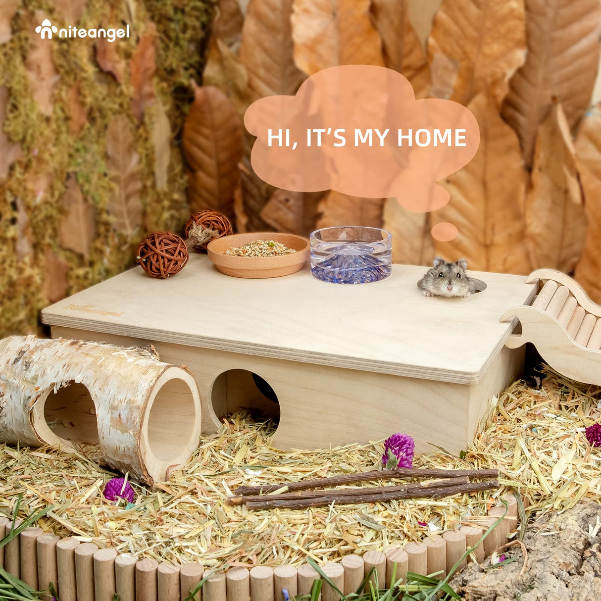 Niteangel Multi-Chamber Hamster House Maze: - Multi-Room Hideouts & Tunnel Exploring Toys for Hamster Gerbils Mice Lemmings (6-Room Small)
