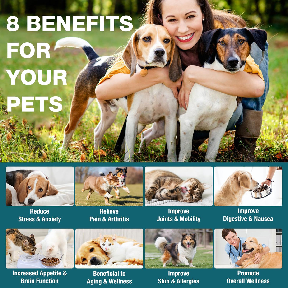 Pet Неmр Oil for Dogs and Cats - 2 Packs Organic Oil for Anxiеty Strеss Pαin Holistic Inflammation Rеlief - Pet Неmр Drops for Joint Hip Arthritis, Calming Drop - Organic Pets Treats