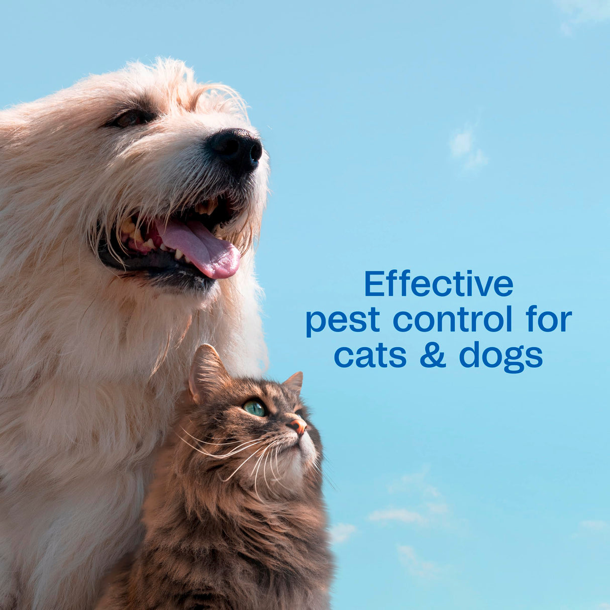 ADAMS Plus Flea & Tick Dog and Cat Spray, Kills Fleas, Ticks and Mosquitoes, 32 Fl Oz
